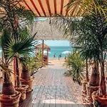 1ere Ligne Piscine Terrasse Au Bord De La Front De Avec Velos Lägenhet *