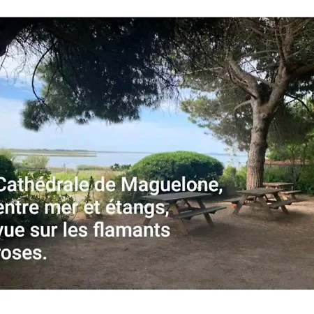 1ere Ligne Piscine Terrasse Au Bord De La Front De Avec Velos Apartment