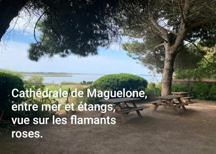 1ere Ligne Piscine Terrasse Au Bord De La Front De Avec Velos Lägenhet