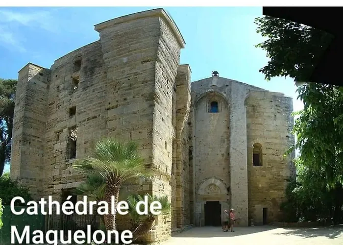 1ere Ligne Piscine Terrasse Au Bord De La Front De Avec Velos Lägenhet *